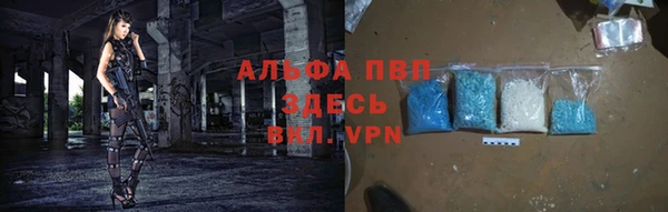 эйфоретик Арсеньев