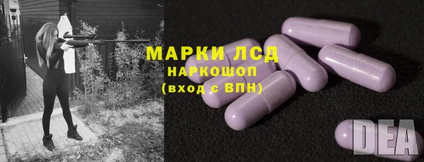 ешки Аркадак