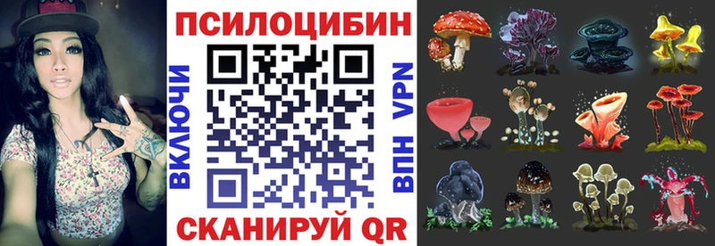 Галлюциногенные грибы GOLDEN TEACHER  Тетюши 